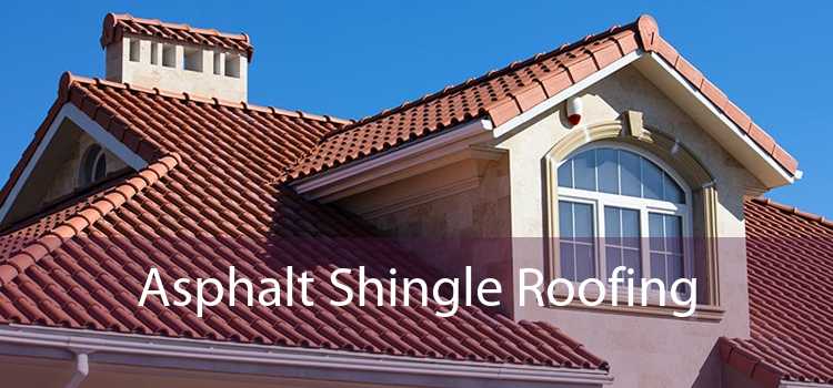 Asphalt Shingle Roofing 