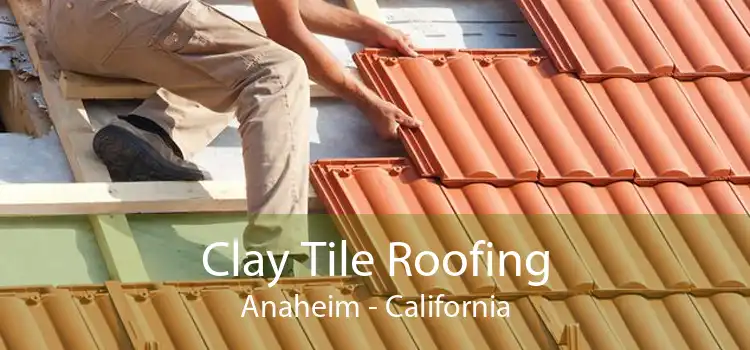 Clay Tile Roofing Anaheim - California