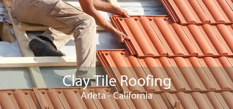 Clay Tile Roofing Arleta - California