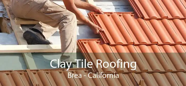 Clay Tile Roofing Brea - California