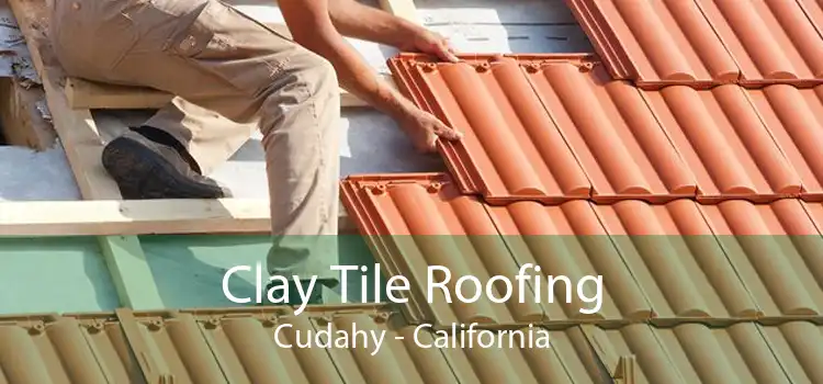 Clay Tile Roofing Cudahy - California