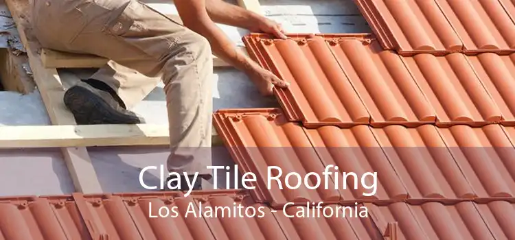 Clay Tile Roofing Los Alamitos - California