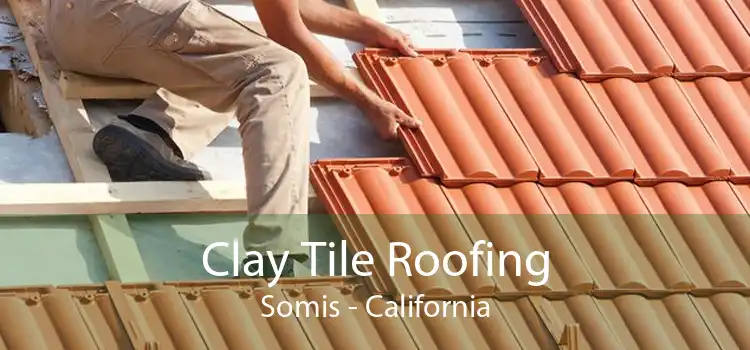 Clay Tile Roofing Somis - California