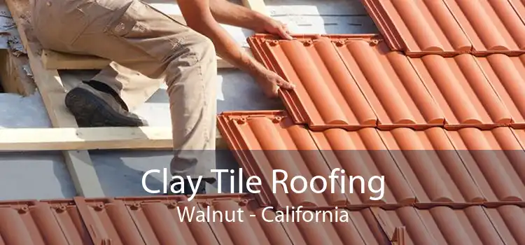 Clay Tile Roofing Walnut - California