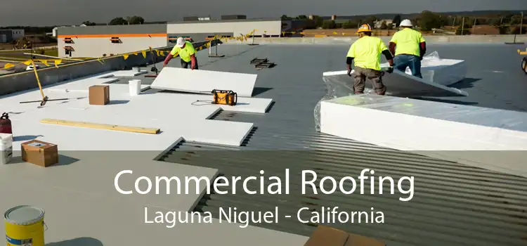 Commercial Roofing Laguna Niguel - California