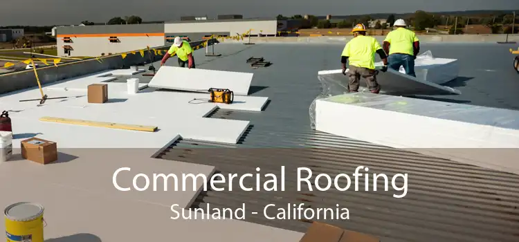 Commercial Roofing Sunland - California