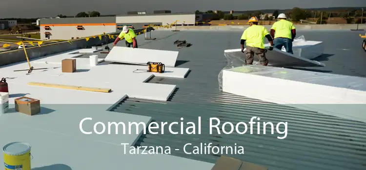 Commercial Roofing Tarzana - California