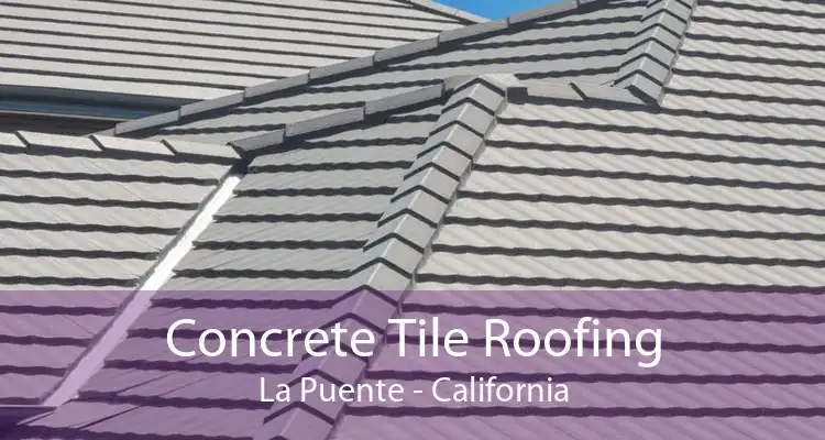 Concrete Tile Roofing La Puente - California