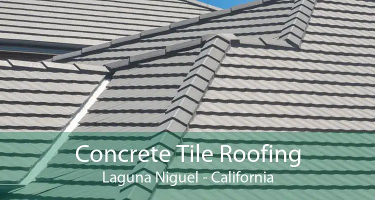 Concrete Tile Roofing Laguna Niguel - California