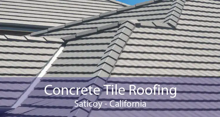 Concrete Tile Roofing Saticoy - California