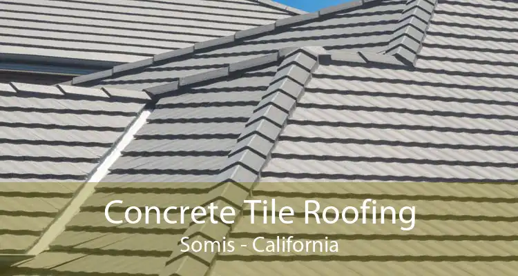 Concrete Tile Roofing Somis - California