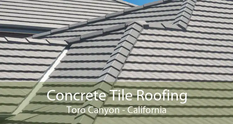 Concrete Tile Roofing Toro Canyon - California