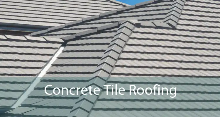 Concrete Tile Roofing 