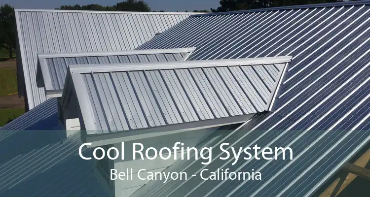 Cool Roofing System Bell Canyon - California