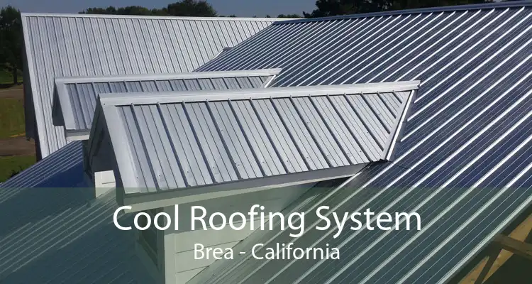 Cool Roofing System Brea - California