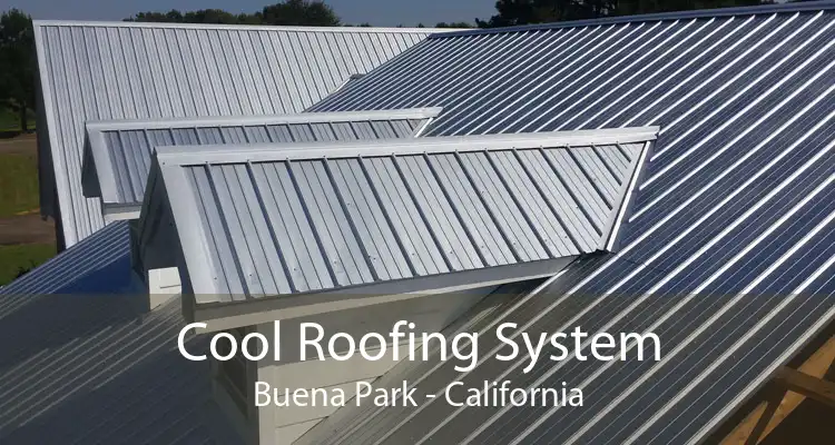 Cool Roofing System Buena Park - California