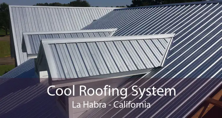 Cool Roofing System La Habra - California