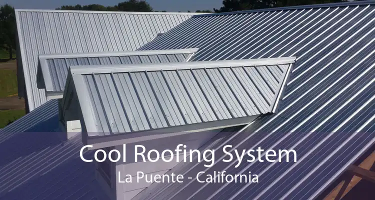 Cool Roofing System La Puente - California