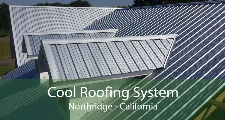 Cool Roofing System Northridge - California