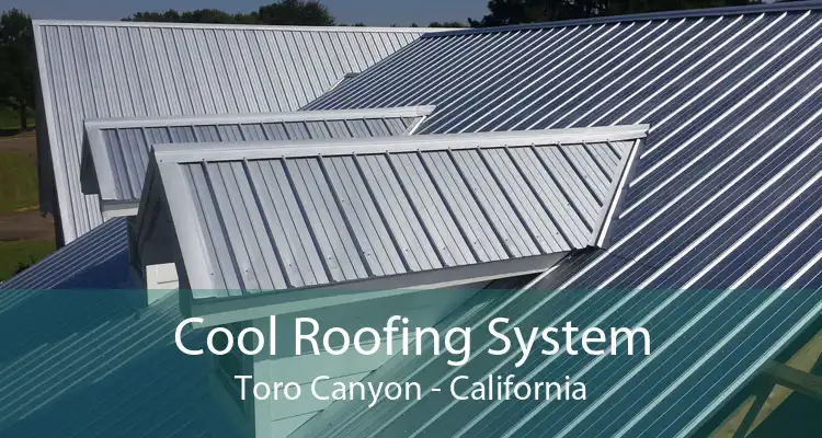 Cool Roofing System Toro Canyon - California