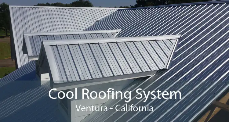 Cool Roofing System Ventura - California