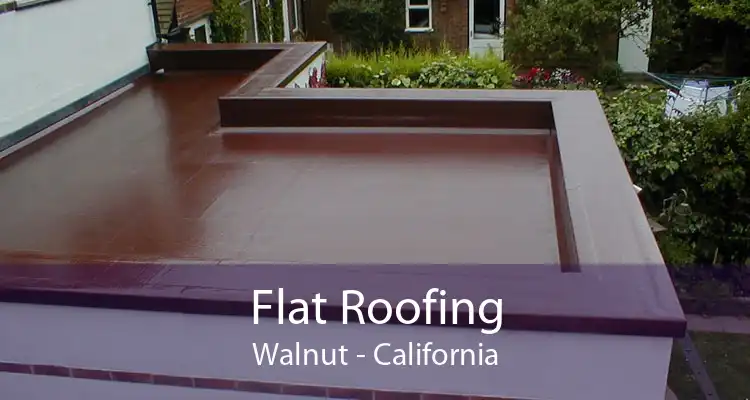 Flat Roofing Walnut - California