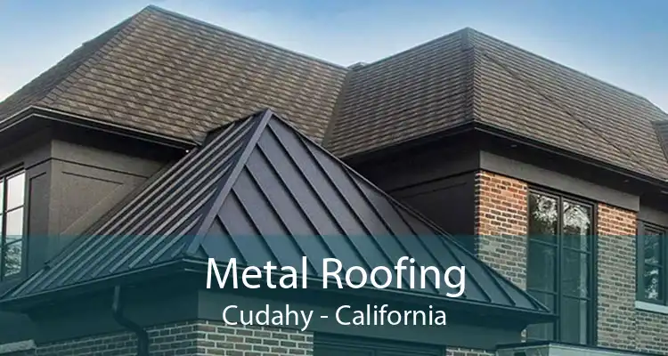 Metal Roofing Cudahy - California