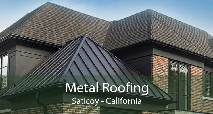 Metal Roofing Saticoy - California