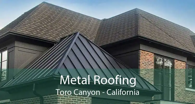 Metal Roofing Toro Canyon - California