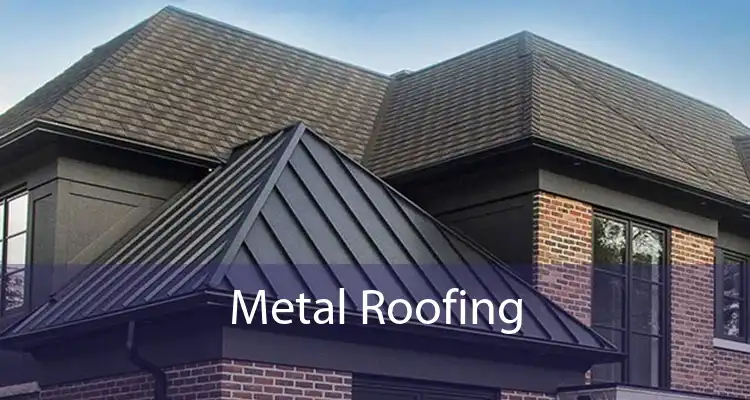 Metal Roofing 