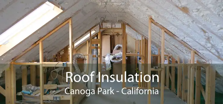 Roof Insulation Canoga Park - California