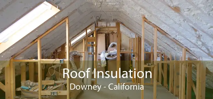 Roof Insulation Downey - California