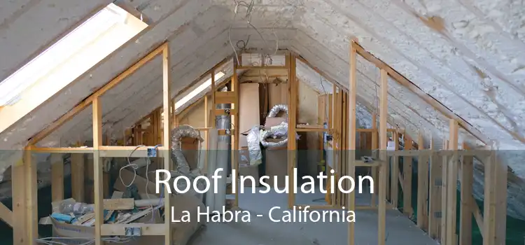 Roof Insulation La Habra - California