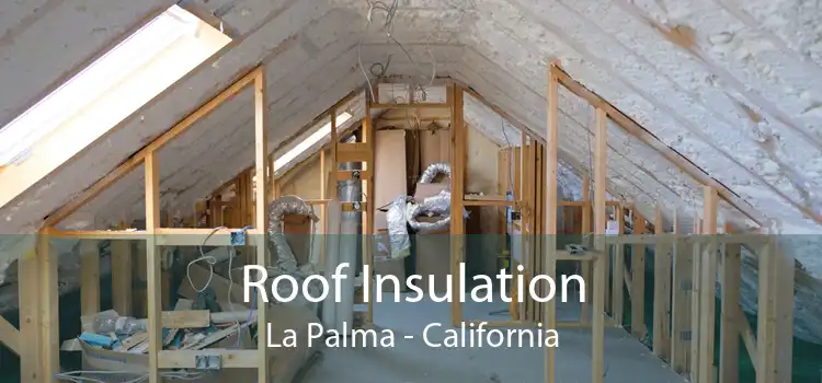 Roof Insulation La Palma - California