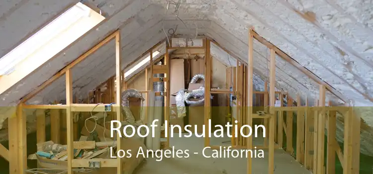 Roof Insulation Los Angeles - California