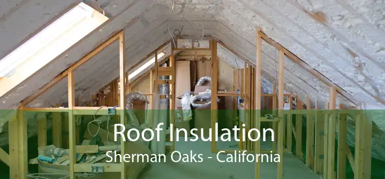 Roof Insulation Sherman Oaks - California