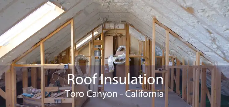 Roof Insulation Toro Canyon - California