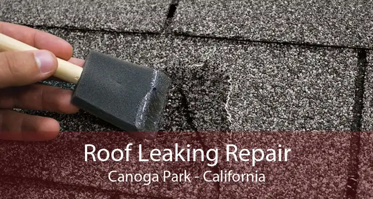 Roof Leaking Repair Canoga Park - California
