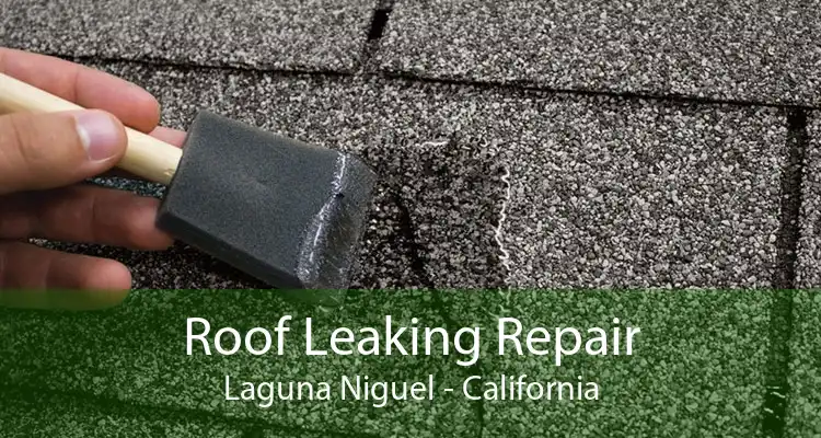 Roof Leaking Repair Laguna Niguel - California