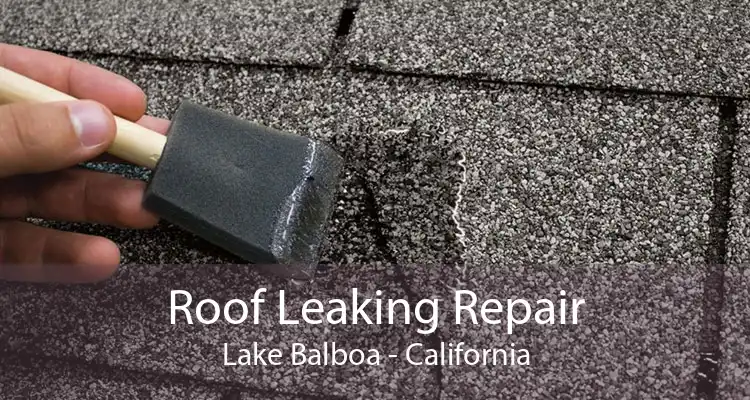 Roof Leaking Repair Lake Balboa - California