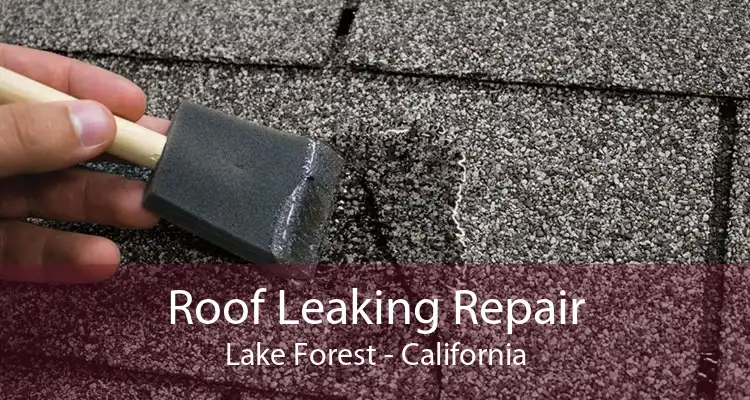 Roof Leaking Repair Lake Forest - California