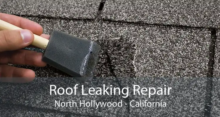 Roof Leaking Repair North Hollywood - California