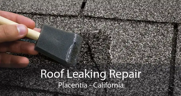 Roof Leaking Repair Placentia - California