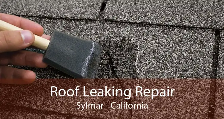 Roof Leaking Repair Sylmar - California