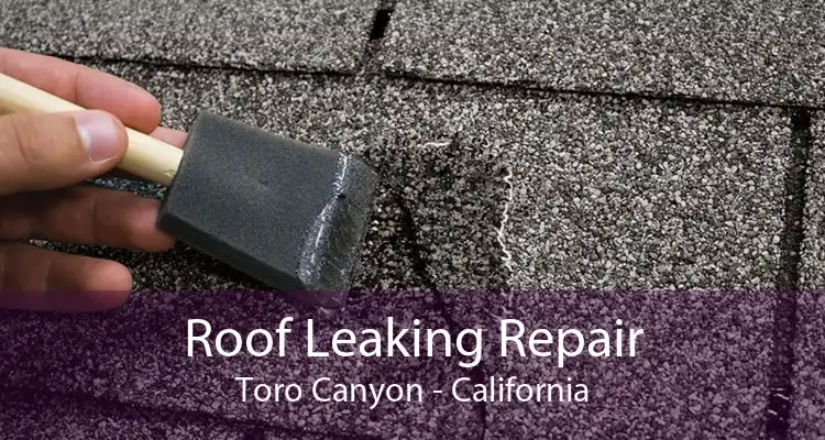 Roof Leaking Repair Toro Canyon - California
