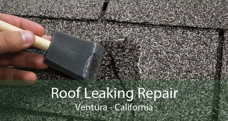 Roof Leaking Repair Ventura - California