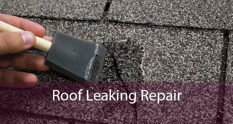 Roof Leaking Repair 