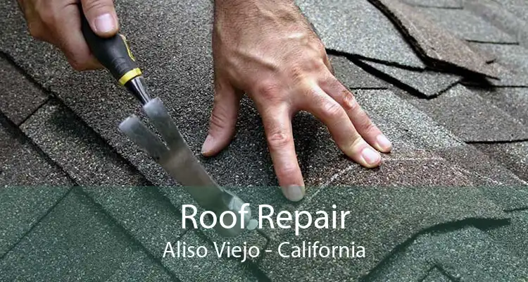 Roof Repair Aliso Viejo - California