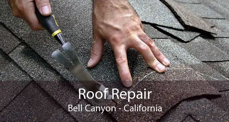 Roof Repair Bell Canyon - California