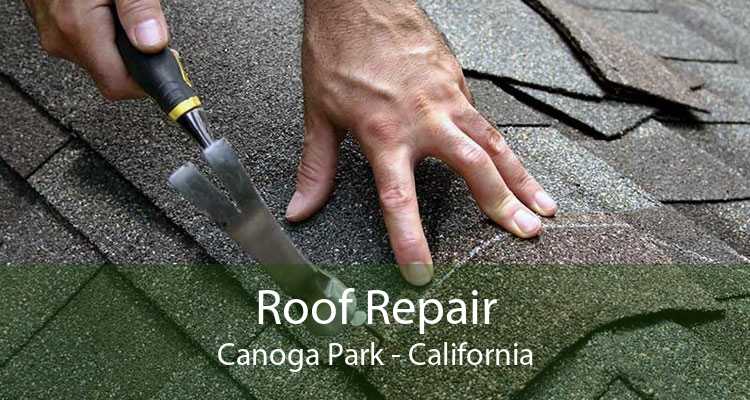Roof Repair Canoga Park - California